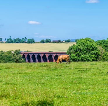 Keyinformation Desktop 01 Key Information Twyford Walk